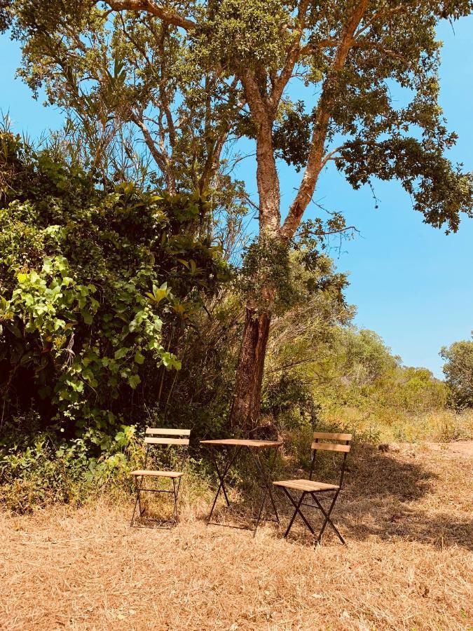 Готель Private Eco Glamping In Aljezur Alfambras Екстер'єр фото